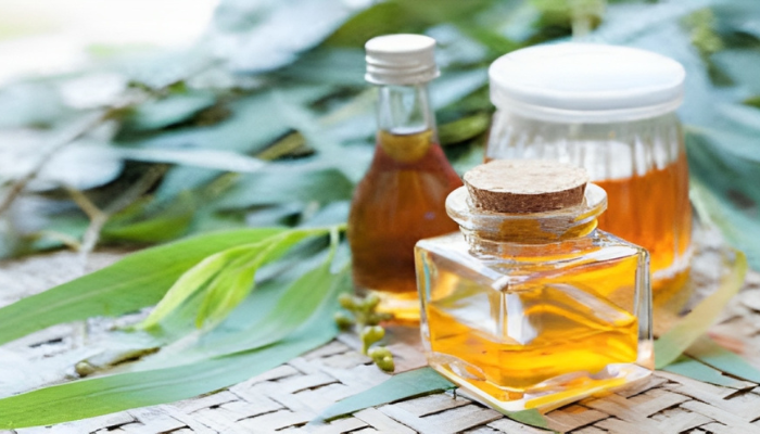 Eucalyptus Oil